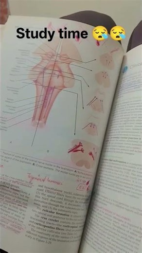 study time 🥱🥱 #motivation #upsc #study #selfstudy #motivational #bestshortsvideo #shortvideo #book 🥱