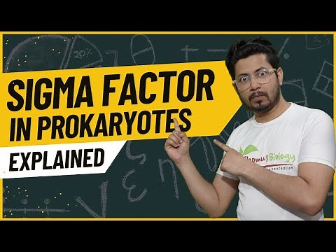 Sigma factor in prokaryotic transcription | Types of sigma factor for transcription