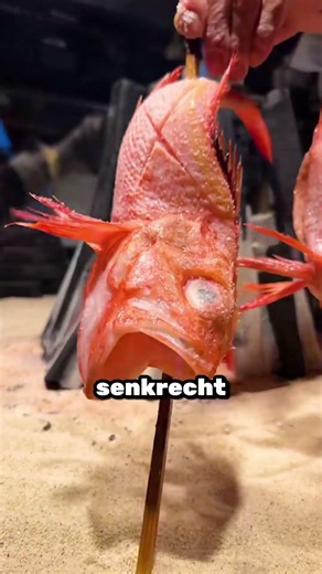 Warum stehen alle für dieses Essen Schlange?