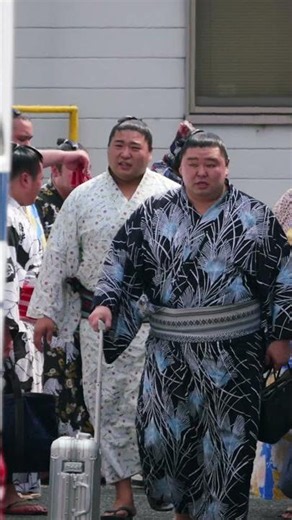 バスまでが暑い❗正代 & 若元春 【夏巡業 大相撲 ぎふ山県場所2026】SUMO