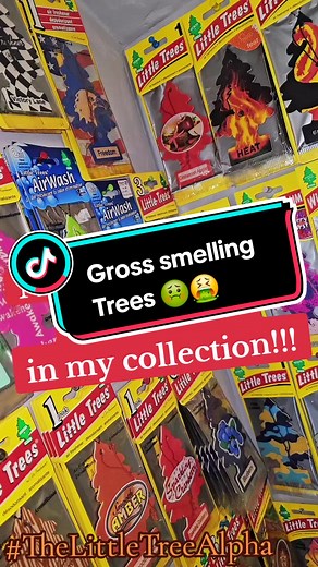TheLittleTreeAlpha on TikTok