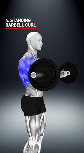 FULL BACK + BICEPS SUPERSET 💥 Build a Wider Back FAST!