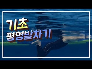 수영하는지씨) 기초 평영 발차기 정석 및 이쁜자세꿀팁