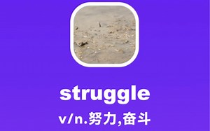 struggle：努力，奋斗