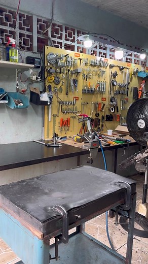 Limpeza Geral do Stihl MS 193T para Jardinagem