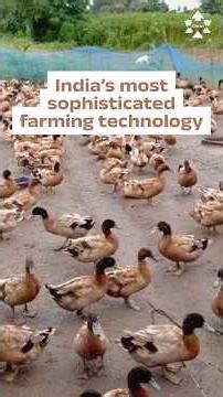 What We Find Fascinating: India’s Most Sophisticated Farming Technology