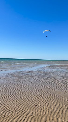 Cathy Davis on Reels