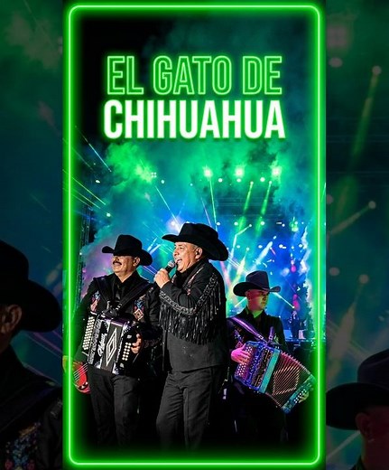 ¡CORRIDAZO PESADO! 🤠 Los Huracanes del Norte prendieron el escenario en vivo #shorts #viral