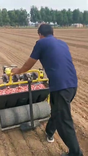 5-row garlic planter by DEYIBO machinery. #engineer #engineering #howitsmade #manufacturing #garden #gardening #garlic #machinepix