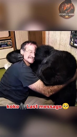 मरने से पहले Koko Gorilla🦍का आखिरी संदेश😢… इंसानों के लिए चेतावनी😨,koko