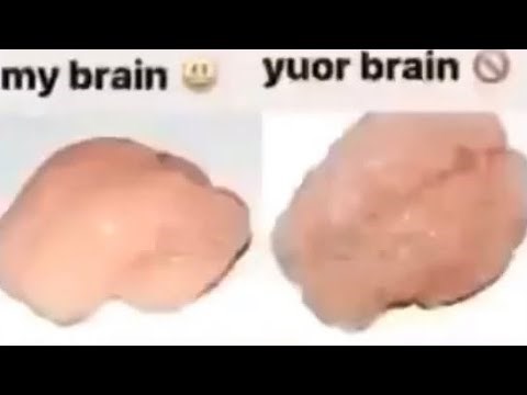 My brain vs your brain (meme)