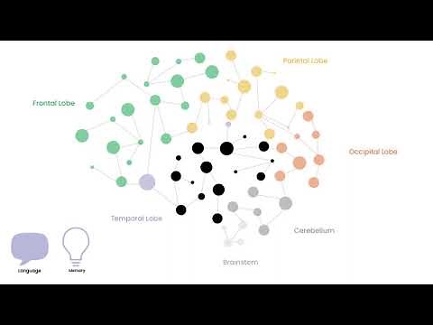 Progression of Primary Progressive Aphasia (PPA)