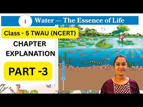 Water- The Essence of Life(PART -3) / Class-5 TWAU (EVS) / NCERT Chapter-1 Explanation.