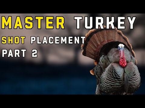 Master Turkey Shot Placement in 3 Minutes