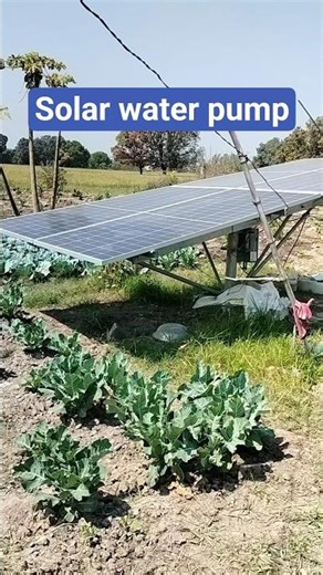 solar water pump 2026 #trending #automobile #solarenergy
