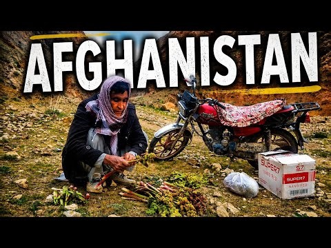 Wild Mountain Plants Eaten in Afghan Villages 🤤