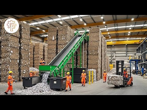 How Everyday Paper Is Made – The Fascinating Process of Making Paper From Trees!