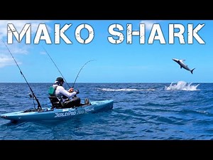 Kayak Fisherman Hooks 400-pound MAKO SHARK in New Zealand (CATCH & COOK) -- Episode 2