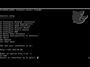 ESXi on Gen8 - FreeNAS setup