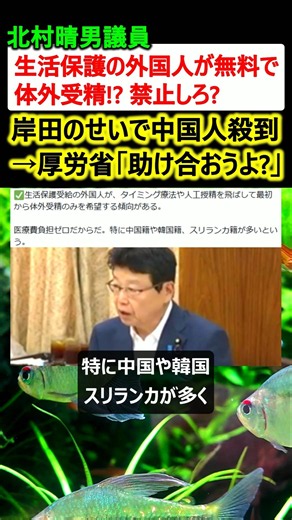 北村議員「生活保護の外国人が無料の体外受精に殺到? 禁止しろ」→厚労省「ムリw」