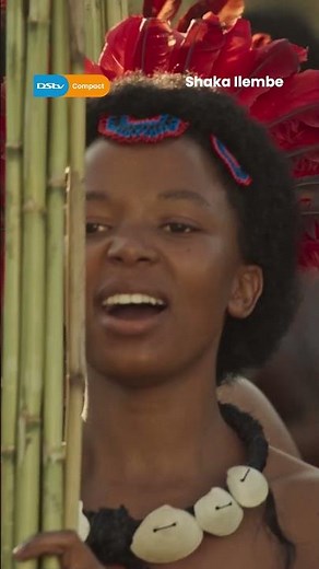 Watch Shaka iLembe S2 on DStv Stream