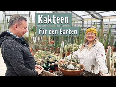Winterharte Kakteen und Sukkulenten | MDR Garten