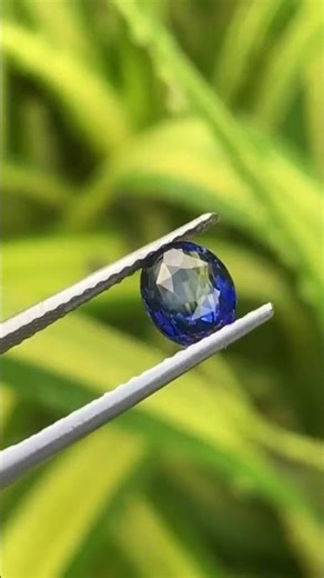 Royal Blue Sapphire