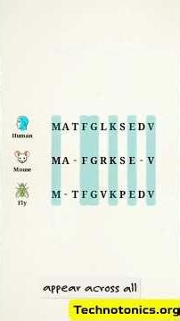 How Multiple Sequence Alignment Decodes DNA | Technotonics org