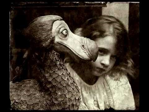 THE SONG OF THE DODO BIRD by DODO QUARTET