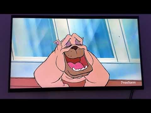 Oliver and Company Freeform Ending Sunday April 12th 2026