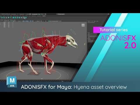 AdonisFX (Maya) Crafted Hyena Asset Overview