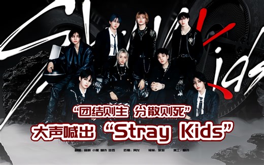 听说八迷听粉丝合唱《Stray Kids》会哭?｜超燃翻唱+MV混剪BUFF拉满【Stray Kids】