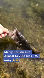 #bassfishing #fishing #fishvideo #carp #fish #fishingvideo #fishinglife #fisherman #bass #outdoors