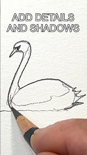 How to Draw a Swan #drawing #drawinglessons #swan