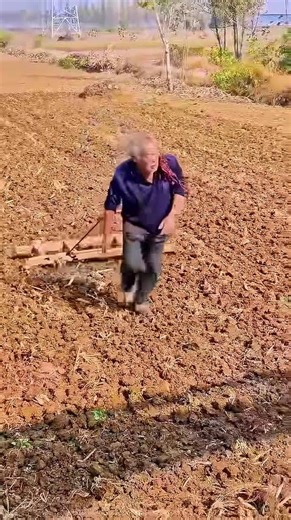 Elderly farmer tills field by hand #shorts #agriculture #rurallife