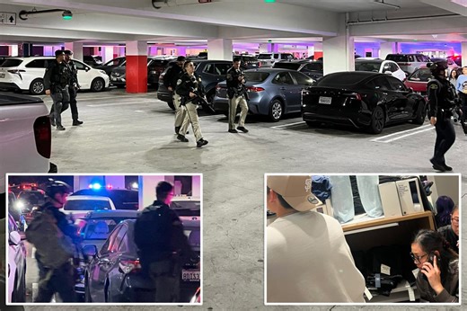 Three victims shot at California mall as shoppers barricade themselves in stores on Black Friday: police