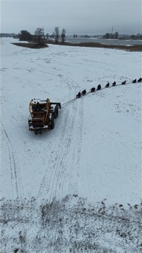 KIROVETS K700 beim Schlitten ziehen Teil 6