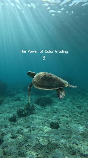 Effortless Color Grading with One Simple Tap