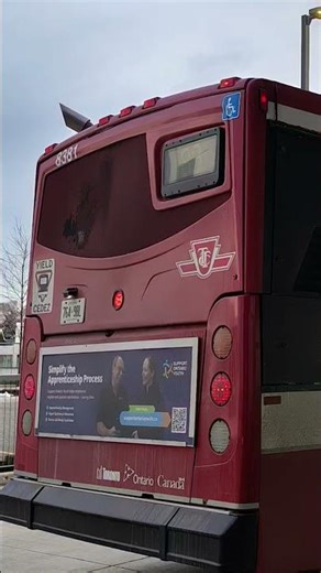 all 8300-8396 ttc bus