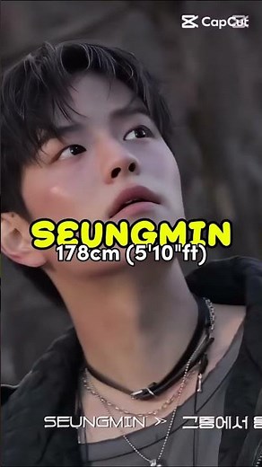 How tall are Stray Kids members