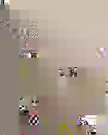 My Bearded Dragon Has A Whole Poop Routine 💩 | Furry Tails