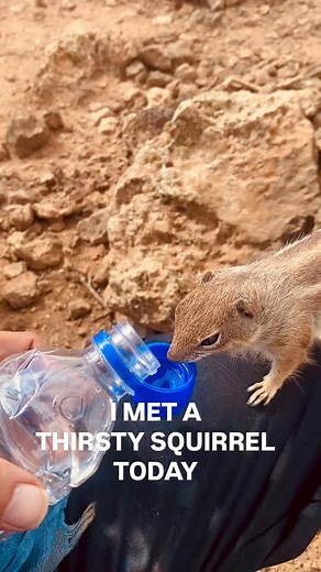 Fabius Constable on Reels