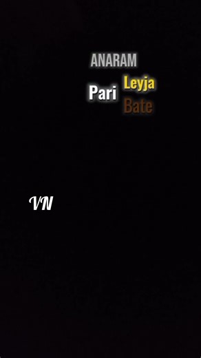 VN templates scan nd try