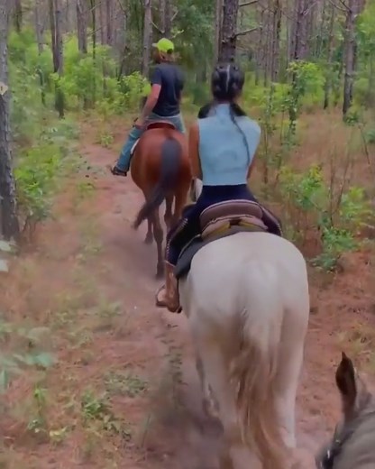 Taking a relaxing trail ride by horseback through the picturesque Cross Florida Greenway. Did you know most of the Cactus Jack's Trail Rides horses are rescues? 🐴 . 🎥 @sydneybshelto(IG) | Ocala/Marion County, Florida