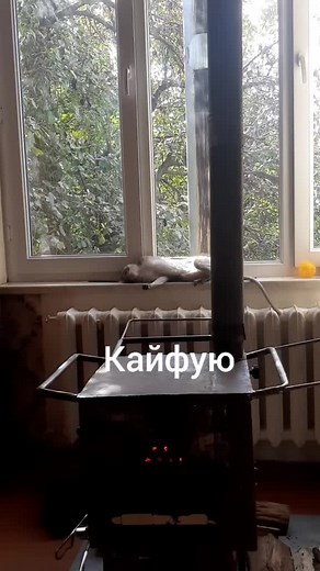 eva_monkey17 on TikTok