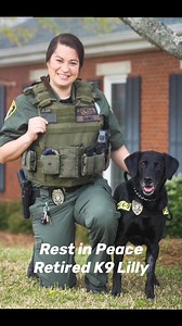 23K views · 3.3K reactions | RIP K9 Lilly | Georgia Police K9 Foundation | Facebook