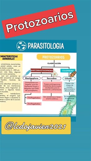 Protozoo Resumen Clasificación inferior Videos Resultados principales Imágenes ￼ ￼ ￼ ￼ ￼ ￼ ￼ ￼ ￼ ￼ ￼ Ver todos Descripción Descripción Los protozoos o protozoarios son organismos microscópicos, unicelulares protistas; heterótrofos, fagótrofos, depredadores o detritívoros, a veces mixótrofos; que viven en ambientes húmedos o directamente en medios acuáticos, ya sean aguas saladas o aguas dulces, y como parásitos de otros seres vivos. #enfermeria #salud #medicina #parasitologia #protozoos #viral #