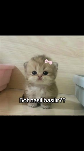 TikTok'ta Bot Kullanımı ve Takipçi Artırma Yöntemleri