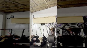 Chocolate Lab Loves The Slat Mill