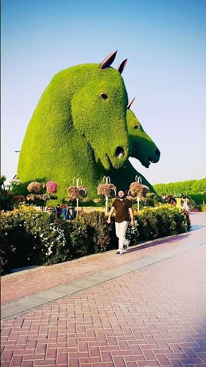 🌺😱 Every Corner Has a Surprise | Dubai Miracle Garden 4K | #dubai #trending #explore #flowers #dxb